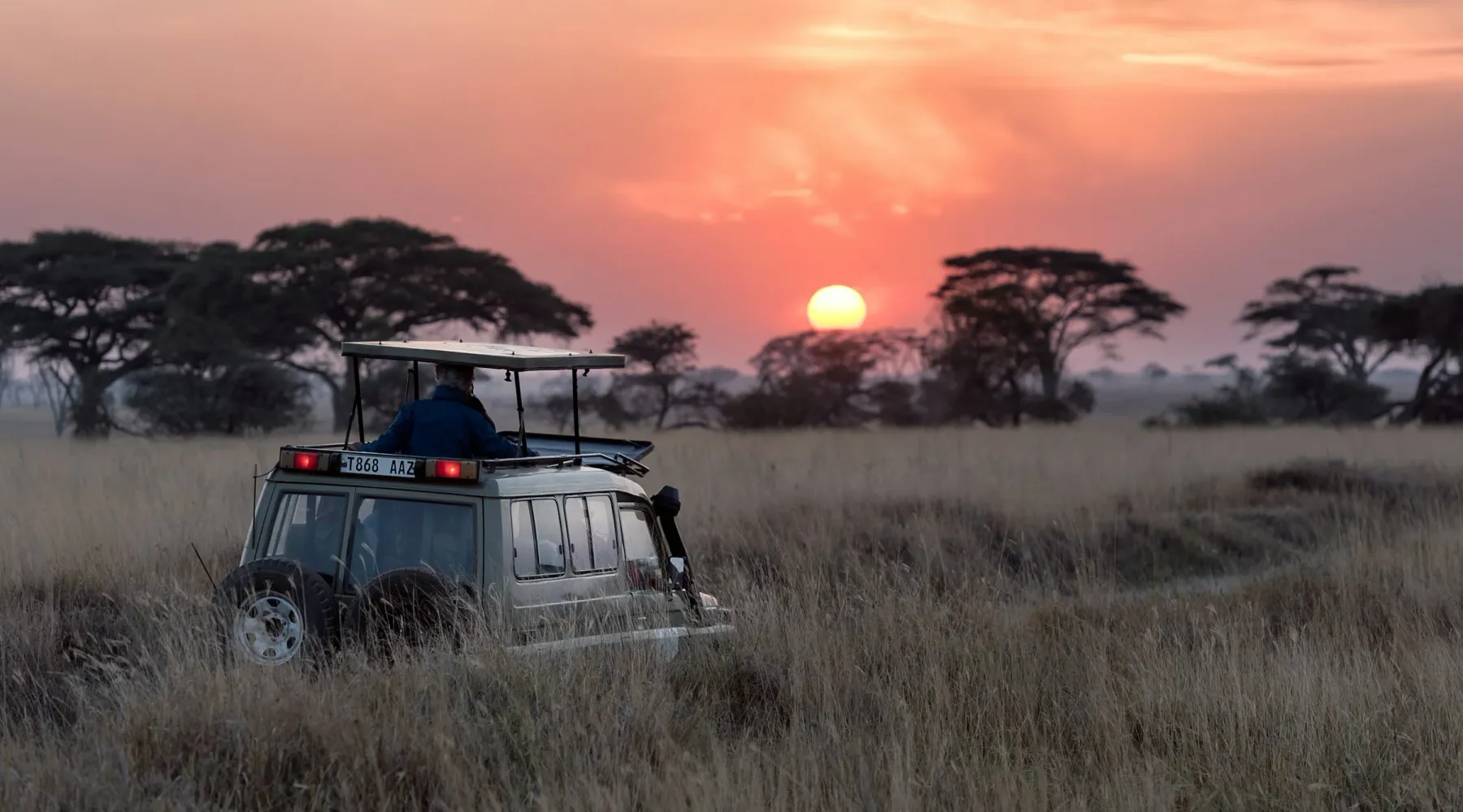 A light safari aircraft on a bush airstrip in the Tanzanian savannah