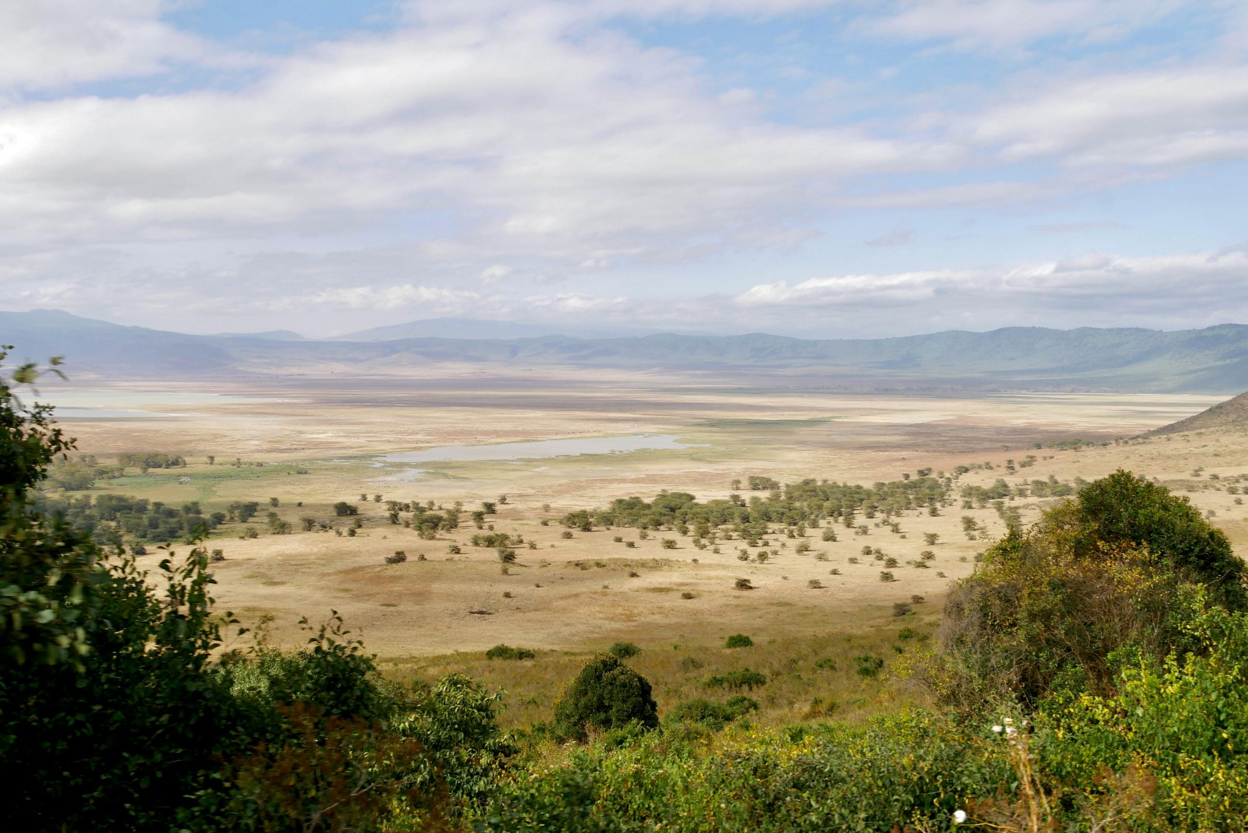 Ngorongoro Crater Safari | Discover Tanzania’s Natural Wonder with Tanzalux Safaris