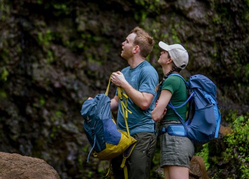 7-Day Trekking & Safari