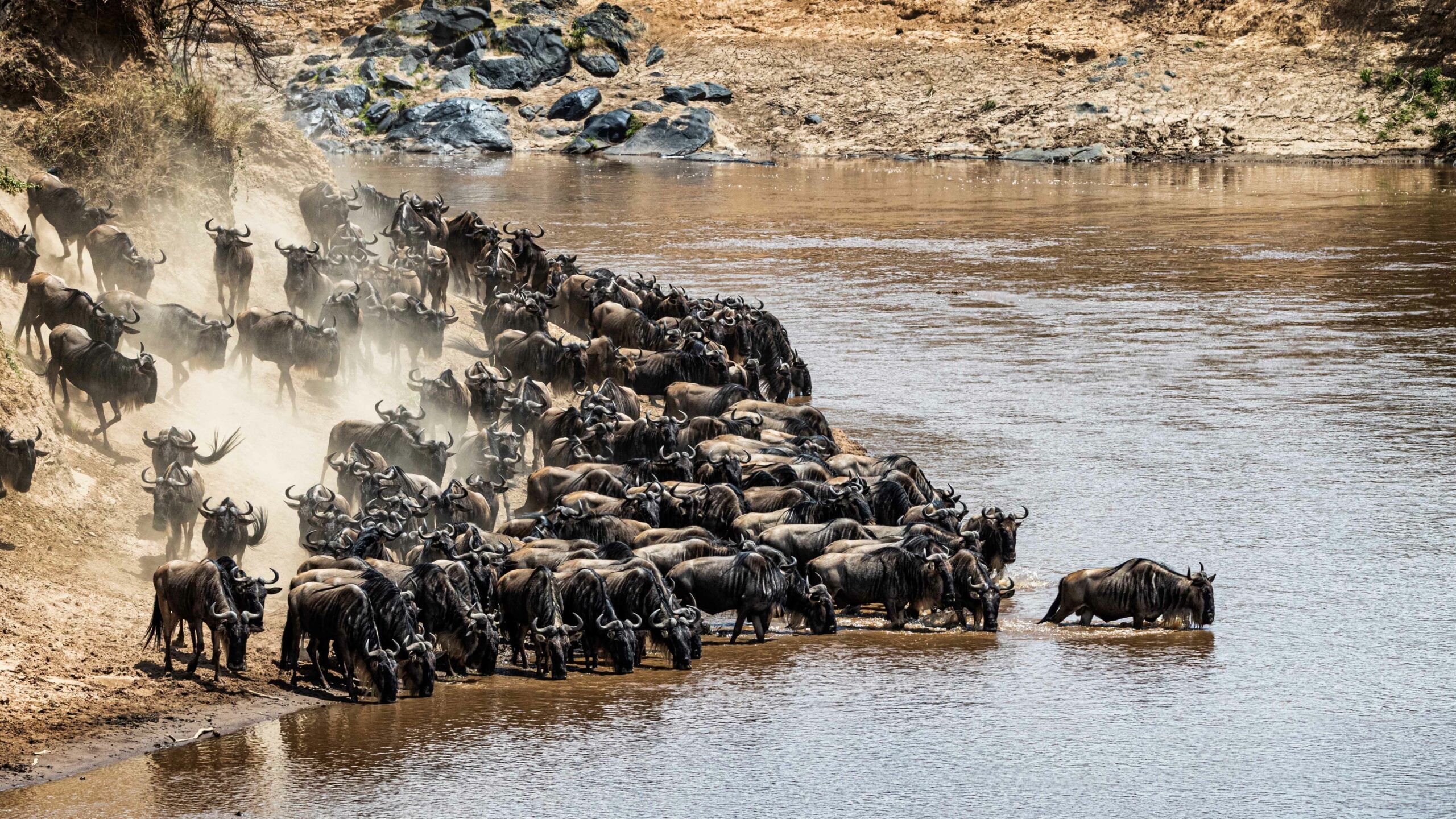 Serengeti