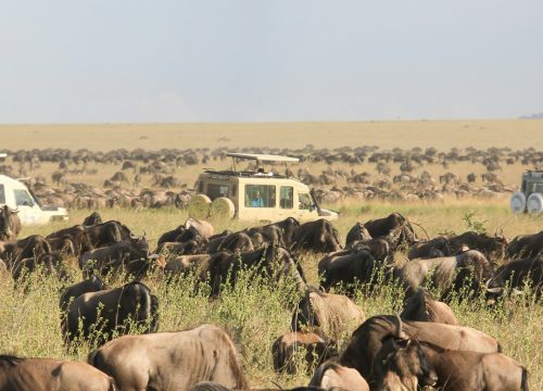 3-Day Private Camping Safari – Tarangire & Ngorongoro Crater