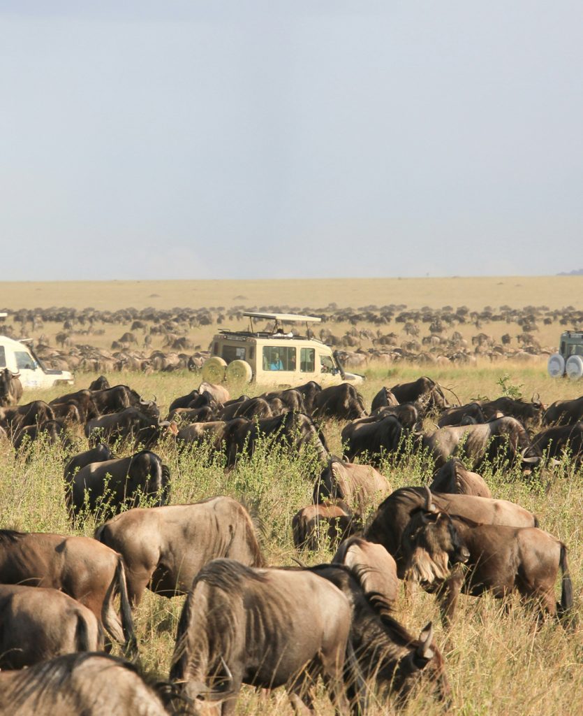 3-Day Private Camping Safari – Tarangire & Ngorongoro Crater