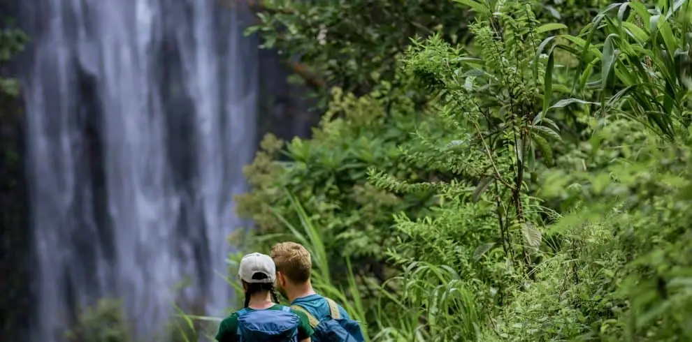 Hikers exploring lush greenery near Materuni Waterfalls in Tanzania.