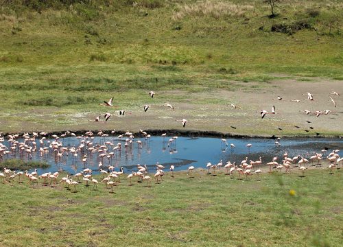 Momella Lakes Tanzania: The Hidden Paradise Every Nature Lover Should Visit