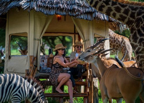 Honeymoon Safari in Tanzania: Where Romance Meets the Wild