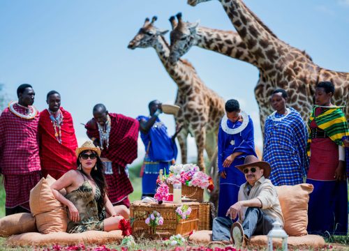 Serval Wildlife Tanzania: An Unforgettable Wildlife Experience