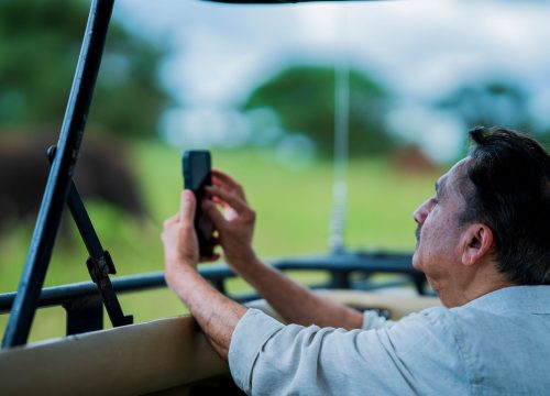 Best Tarangire Luxury Safaris: Ultimate Guide for First-Time Visitors