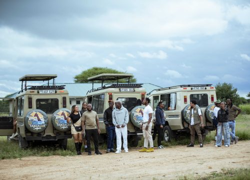 Professional Safari Guides in Tanzania: The Difference Between Seeing Wildlife and Truly Experiencing It