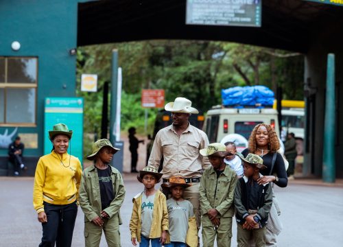 Your Ultimate First-Time Safari Guide
