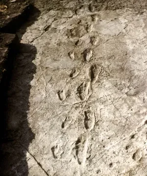 Laetoli Footprints Tanzania: Where Humanity Left Its First Steps