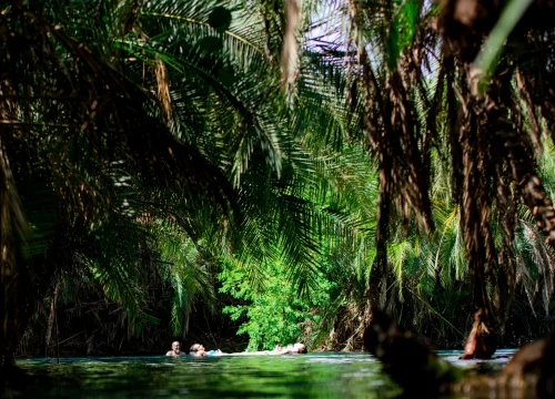 Chemka Hot Springs Tanzania: A Hidden Paradise You Shouldn’t Miss
