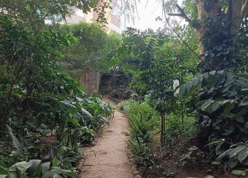 Themi Living Garden: Experience the Heart of Arusha with TanzaLux Safaris