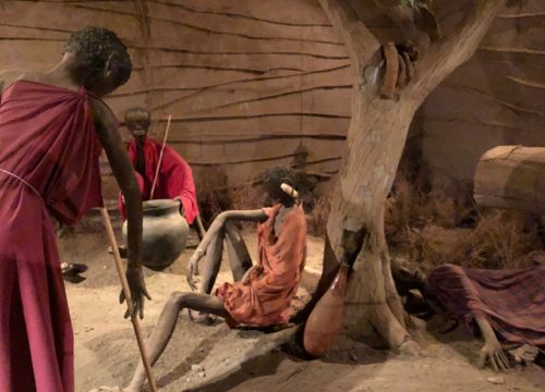 Meserani Snake Park Tanzania: A Hidden Gem Worth Visiting