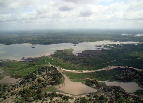 Nyerere National Park Tanzania: Where Africa’s Wild Heart Still Beats